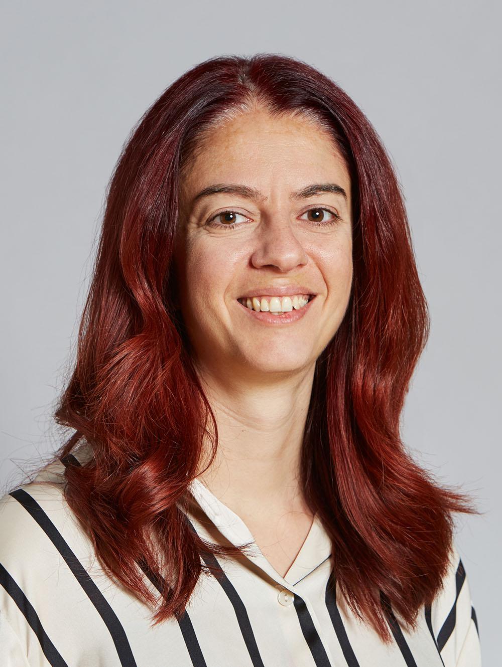 Prof. Dr.  Eleni Chatzi
