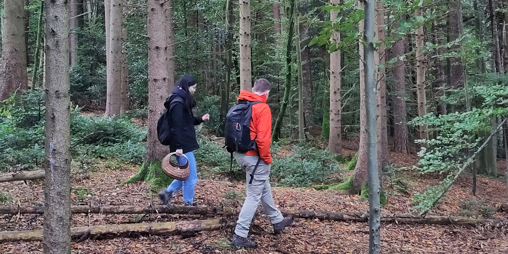 two mushroom gatherers carrying basket